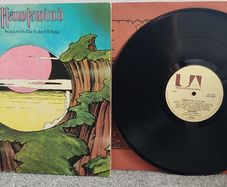 LP Vinyl Records - Hawkwind - Warrior On The Edge Of Time