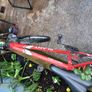 Apollo Mens bike Image 5