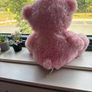 teddy Image 3
