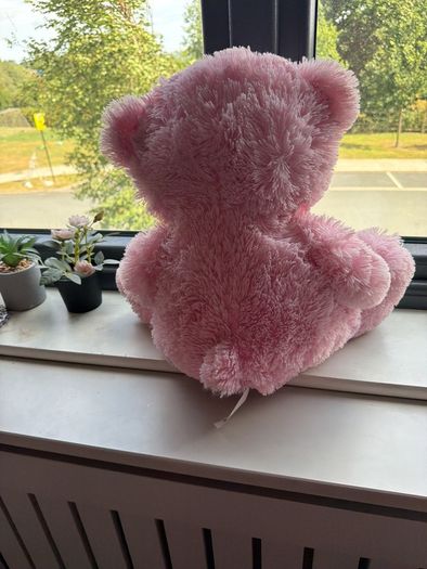 teddy