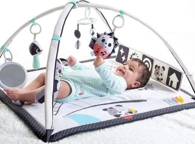Baby Gym Playmat with free toys