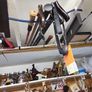 Walking stick briar Image 7