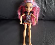 Monster High doll, I believe this is Creepateria Howleen Wolf
