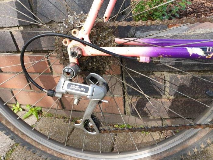 Raleigh Moonshine MTB