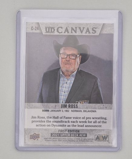 AEW Upper Deck 2021 UD CANVAS Wrestking Trading Card Bundle