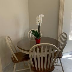 Table and 6 chairs