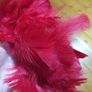 fur Image 4