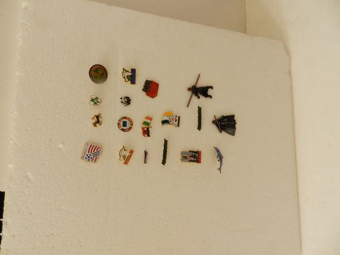 Coat Pins