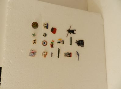 Coat Pins