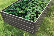 Raised flower beds for greenhouses galvanised steel