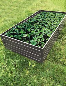 Raised flower beds for greenhouses galvanised steel