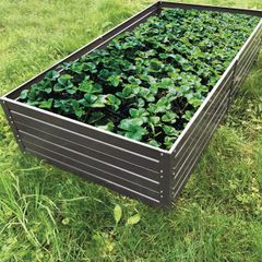 Raised flower beds for greenhouses galvanised steel