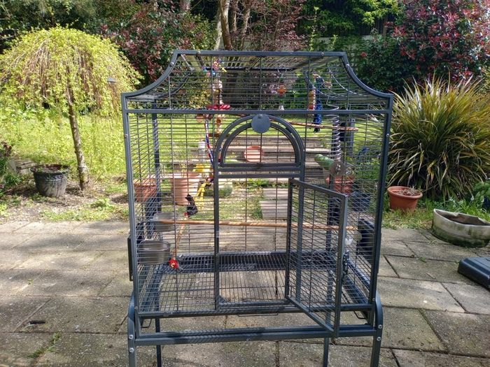Large bird cage
