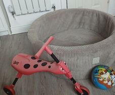 Ball pit 85cm x 28cm H and ladybug scooter