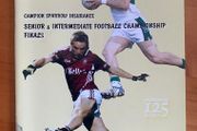 2009 Arles-Kilcruise v Portlaoise - GAA Laois Senior Football Final Programme