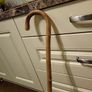 Walking stick Image 3