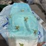 swimming diapers Image 2