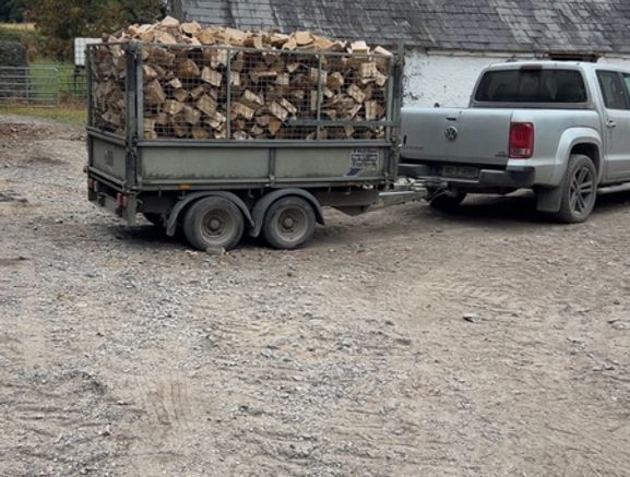 kiln dried firewood