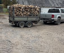 kiln dried firewood