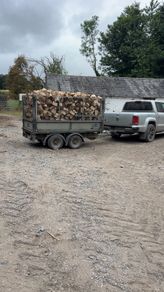 kiln dried firewood
