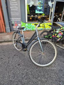 Raleigh Pioneer