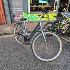Raleigh Pioneer