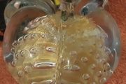 peach glass paper weight,on offer