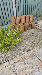 Terracotta Drain Pipes For Garden Planting