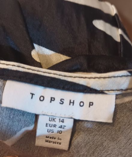 Topshop dress