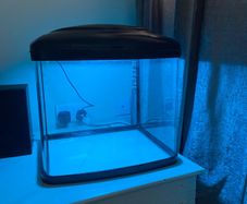 40 l Fish tank