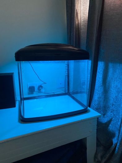 40 l Fish tank