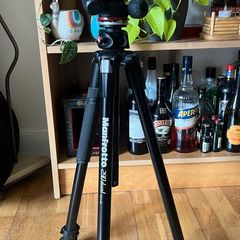 Manfrotto 290 Dual Tripod + 3-Way Head