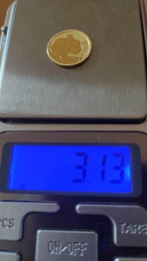 Gold coin koala