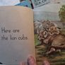 4 X 1950's Ladybird books Image 5