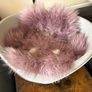 Bama Nido Plastic Pet Bed with plush cushion Image 8
