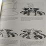 Water Gardens- Rock pools, ponds & waterfalls Image 5