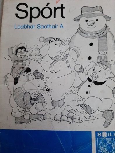 Gaeilge Fallons vintage school books