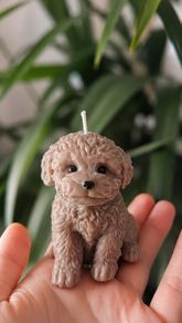 Soy Wax Puppy Candle