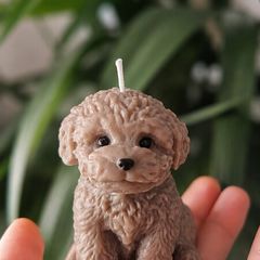 Soy Wax Puppy Candle
