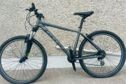 carrera bicycle