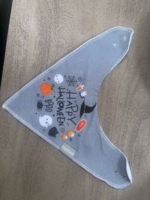 The Little One Halloween bib