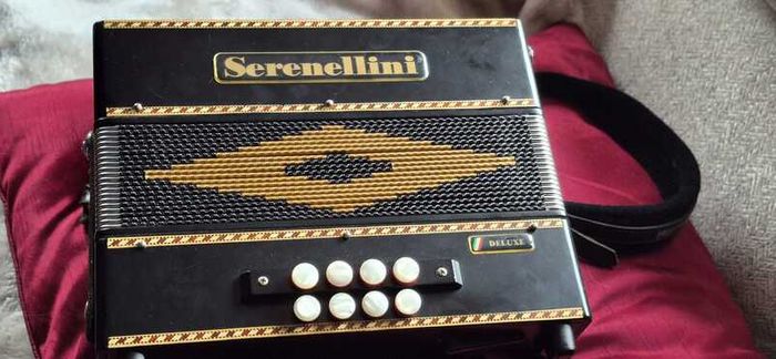 Serenellini Accordion