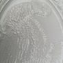 Vintage Turkey Platter Image 3