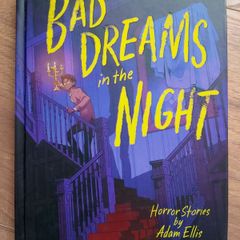 Bad Dreams In The Night hardback book