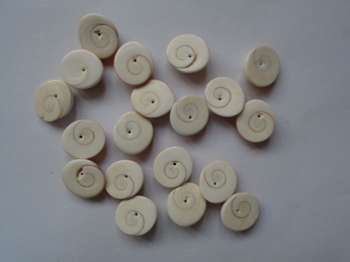 Jewellery making supplies, Beads. Shiva eye shell beads.Shell beads,Craft supplies