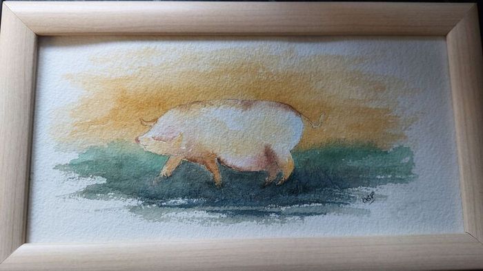 Original Watercolour - Pig