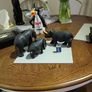 African Animals Image 7