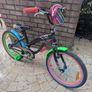 girls bicycle Image 3