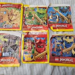 lego ninjago dragon forms and nokt