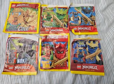 lego ninjago dragon forms and nokt